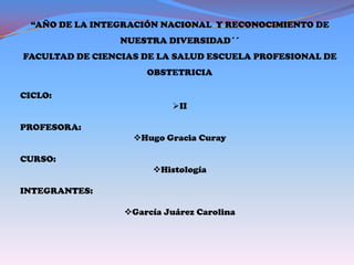 “AÑO DE LA INTEGRACIÓN NACIONAL Y RECONOCIMIENTO DE
                 NUESTRA DIVERSIDAD´´
FACULTAD DE CIENCIAS DE LA SALUD ESCUELA PROFESIONAL DE
                     OBSTETRICIA

CICLO:
                           II

PROFESORA:
                   Hugo Gracia Curay

CURSO:
                      Histología

INTEGRANTES:

                 García Juárez Carolina
 