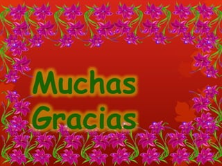 Muchas 
Gracias 
