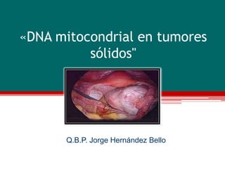 «DNA mitocondrial en tumores
sólidos"

Q.B.P. Jorge Hernández Bello

 