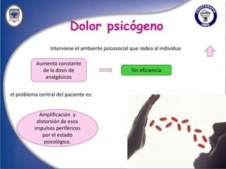 Dolor psicógeno
                 Interviene el ambiente psicosocial que rodea al individuo

           Aumento constante
             de la dosis de                         Sin eficiencia
              analgésicos


el problema central del paciente es:


            Amplificación y
           distorsión de esos
          impulsos periféricos
              por el estado
               psicológico.
 