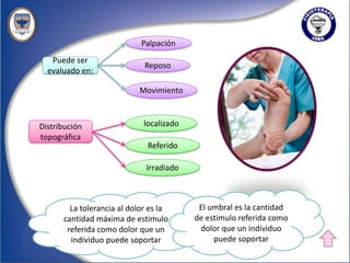 Palpación
   Puede ser
                             Reposo
  evaluado en:

                           Movimiento



Distribución                localizado
topográfica
                              Referido

                             Irradiado



        La tolerancia al dolor es la      El umbral es la cantidad
      cantidad máxima de estimulo        de estimulo referida como
       referida como dolor que un         dolor que un individuo
        individuo puede soportar              puede soportar
 