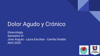 Dolor Agudo y Crónico
Ginecología
Semestre VI
Jose Angulo - Laura Escobar - Camila Giraldo
Abril 2020
 