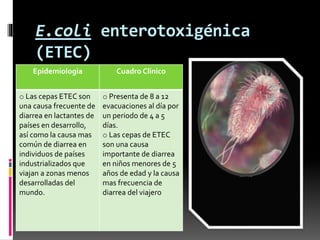 E.coli enterotoxigénica 
(ETEC) 
Epidemiologia Cuadro Clínico 
o Las cepas ETEC son 
una causa frecuente de 
diarrea en lactantes de 
países en desarrollo, 
así como la causa mas 
común de diarrea en 
individuos de países 
industrializados que 
viajan a zonas menos 
desarrolladas del 
mundo. 
o Presenta de 8 a 12 
evacuaciones al día por 
un periodo de 4 a 5 
días. 
o Las cepas de ETEC 
son una causa 
importante de diarrea 
en niños menores de 5 
años de edad y la causa 
mas frecuencia de 
diarrea del viajero 
 