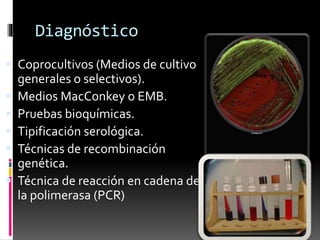 Diagnóstico 
 Coprocultivos (Medios de cultivo 
generales o selectivos). 
 Medios MacConkey o EMB. 
 Pruebas bioquímicas. 
 Tipificación serológica. 
 Técnicas de recombinación 
genética. 
 Técnica de reacción en cadena de 
la polimerasa (PCR) 
 