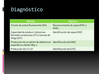 Diagnóstico 
Método Objetivo 
Tinción de actina fluorescente (FAS Reconocimiento de cepas EPEC y 
EHEC. 
Capacidad de producir citotoxinas 
llamadas verotoxinas (VT) o toxinas de 
Shiga (SLT). 
Identificación de cepas EHEC 
Producción de un patrón de adherencia 
especifico a células HEp-2 
Identificación de EAEC 
Producción de LT y ST Identificación de ETEC. 
 