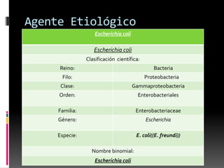 Agente Etiológico 
Escherichia coli 
Escherichia coli 
Clasificación científica: 
Reino: Bacteria 
Filo: Proteobacteria 
Clase: Gammaproteobacteria 
Orden: Enterobacteriales 
Familia: Enterobacteriaceae 
Género: Escherichia 
Especie: E. coli((E. freundi)) 
Nombre binomial: 
Escherichia coli 
 