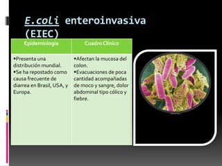 E.coli enteroinvasiva 
(EIEC) 
Epidemiologia Cuadro Clínico 
Presenta una 
distribución mundial. 
Se ha repostado como 
causa frecuente de 
diarrea en Brasil, USA, y 
Europa. 
Afectan la mucosa del 
colon. 
Evacuaciones de poca 
cantidad acompañadas 
de moco y sangre, dolor 
abdominal tipo cólico y 
fiebre. 
 