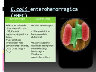 E.coli enterohemorragica 
(EHEC) 
Epidemiologia Cuadro Clínico 
Se da en países de 
clima templado como 
USA, Canadá, 
Inglaterra, Argentina y 
Japón. 
Los serotipos 
involucrados mas 
comúnmente son: O26, 
O111, O121, O145 y 
O157. 
Colitis hemorrágica: 
• Diarrea de inicio 
brusco con dolor 
abdominal. 
Las evacuaciones 
líquidas se acompañan 
de una descarga 
hemorrágica. 
Síndrome 
urémicohemolítico 
 