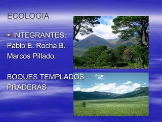 ECOLOGIA INTEGRANTES: Pablo E. Rocha B. Marcos Pillado. BOQUES TEMPLADOS  PRADERAS 