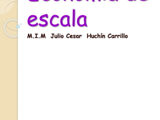 Economía de
escala
M.I.M Julio Cesar Huchín Carrillo
 