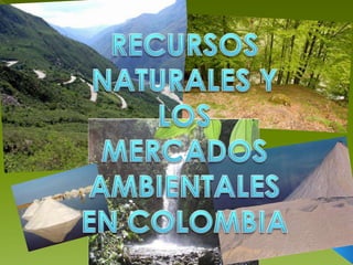 RECURSOS NATURALES Y LOS MERCADOS AMBIENTALES EN COLOMBIA 