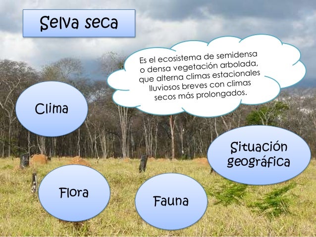 Ecosistemas