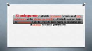 El endospermo es el tejido nutricional formado en el saco
embrionario de las plantas con semilla; es triploide (con tres juegos
de cromosomas) y puede ser usado como fuente de nutrientes por
el embrión durante la germinación.
 