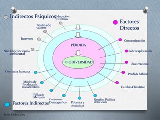 Maria Vílchez, 2004
PÉRDIDA
BIODIVERSIDAD
-
Contaminación
Gestión Pública
deficiente
Sobreexplotación
Pobreza y
desigualdad
Uso Irracional
Modos de
Producción
insostenibles
Pérdida hábitat
Crecimiento
Demográfico
Pérdida de
valores
Conducta humana
Cambio Climático
Educación
y Cultura
Intereses
Nivel de conciencia
ambiental
Factores
Directos
Factores Indirectos
Indirectos Psíquicos
Fallas de
Mercado
 