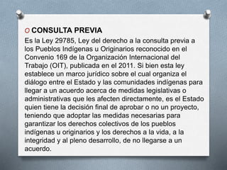 O CONSULTA PREVIA
Es la Ley 29785, Ley del derecho a la consulta previa a
los Pueblos Indígenas u Originarios reconocido en el
Convenio 169 de la Organización Internacional del
Trabajo (OIT), publicada en el 2011. Si bien esta ley
establece un marco jurídico sobre el cual organiza el
diálogo entre el Estado y las comunidades indígenas para
llegar a un acuerdo acerca de medidas legislativas o
administrativas que les afecten directamente, es el Estado
quien tiene la decisión final de aprobar o no un proyecto,
teniendo que adoptar las medidas necesarias para
garantizar los derechos colectivos de los pueblos
indígenas u originarios y los derechos a la vida, a la
integridad y al pleno desarrollo, de no llegarse a un
acuerdo.
 
