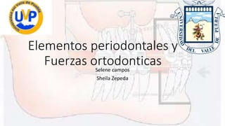 Elementos periodontales y 
Fuerzas ortodonticas 
Selene campos 
Sheila Zepeda 
 