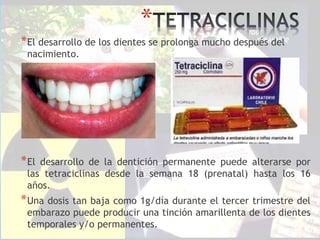 *
*El desarrollo de los dientes se prolonga mucho después del
nacimiento.
*El desarrollo de la dentición permanente puede alterarse por
las tetraciclinas desde la semana 18 (prenatal) hasta los 16
años.
*Una dosis tan baja como 1g/día durante el tercer trimestre del
embarazo puede producir una tinción amarillenta de los dientes
temporales y/o permanentes.
 