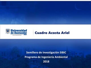 Cuadro Acosta Ariel
Semillero de Investigación SIBIC
Programa de Ingeniería Ambiental
2018
 