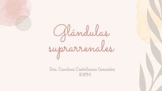 Glándulas
suprarrenales
Dra. Carolina Castellanos González
R3PM
 