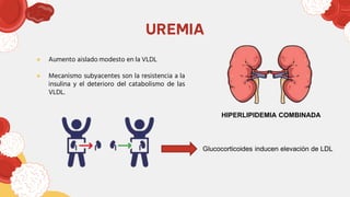 UREMIA
● Aumento aislado modesto en la VLDL
● Mecanismo subyacentes son la resistencia a la
insulina y el deterioro del catabolismo de las
VLDL.
HIPERLIPIDEMIA COMBINADA
Glucocorticoides inducen elevación de LDL
 