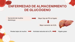 ENFERMEDAD DE ALMACENIMIENTO
DE GLUCÓGENO
Secreción de insulina
disminuye
Mayor flujo de FFA al hígado
Mayor secreción de VLDL
Niveles bajos de insulina Actividad reducida de la LPL Hígado graso
 