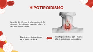 HIPOTIROIDISMO
Aumento de LDL por la disminución de la
conversión del colesterol en acidos biliares y
menos receptores de LDL.
Hipertrigliceridemia con niveles
alto de triglicéridos en mixedema
Disminucion de la actividad
de la lipasa hepática
 
