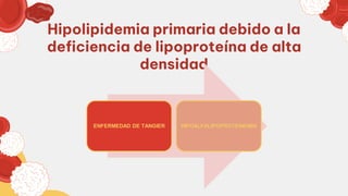 Hipolipidemia primaria debido a la
deficiencia de lipoproteína de alta
densidad
ENFERMEDAD DE TANGIER HIPOALFALIPOPROTEINEMIA
 