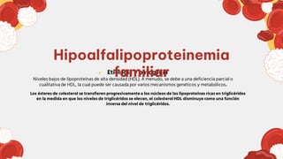 ● Etiología y patogenia
Niveles bajos de lipoproteínas de alta densidad (HDL). A menudo, se debe a una deficiencia parcial o
cualitativa de HDL, la cual puede ser causada por varios mecanismos genéticos y metabólicos.
Los ésteres de colesterol se transfieren progresivamente a los núcleos de las lipoproteínas ricas en triglicéridos
en la medida en que los niveles de triglicéridos se elevan, el colesterol HDL disminuye como una función
inversa del nivel de triglicéridos.
Hipoalfalipoproteinemia
familiar
 