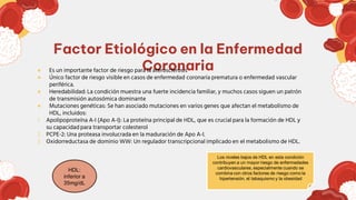 Factor Etiológico en la Enfermedad
Coronaria
● Es un importante factor de riesgo para la aterosclerosis
● Único factor de riesgo visible en casos de enfermedad coronaria prematura o enfermedad vascular
periférica.
● Heredabilidad: La condición muestra una fuerte incidencia familiar, y muchos casos siguen un patrón
de transmisión autosómica dominante
● Mutaciones genéticas: Se han asociado mutaciones en varios genes que afectan el metabolismo de
HDL, incluidos:
1. Apolipoproteína A-I (Apo A-I): La proteína principal de HDL, que es crucial para la formación de HDL y
su capacidad para transportar colesterol
2. PCPE-2: Una proteasa involucrada en la maduración de Apo A-I.
3. Oxidorreductasa de dominio WW: Un regulador transcripcional implicado en el metabolismo de HDL.
Los niveles bajos de HDL en esta condición
contribuyen a un mayor riesgo de enfermedades
cardiovasculares, especialmente cuando se
combina con otros factores de riesgo como la
hipertensión, el tabaquismo y la obesidad
HDL:
inferior a
35mg/dL
 
