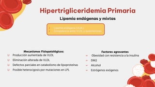 Factores agravantes
☞ Obesidad con resistencia a la insulina
☞ DM2
☞ Alcohol
☞ Estrógenos exógenos
Lipemia endógenas y mixtas
Hipertrigliceridemia Primaria
Mecanismos Fisiopatológicos:
U Producción aumentada de VLDL
U Eliminación alterada de VLDL
U Defectos parciales en catabolismo de lipoproteínas
U Posible heterocigosis por mutaciones en LPL
i Lipemia endógena (VLDL)
i Competencia entre VLDL y quilomicrones
 