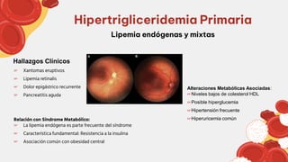 ☞ Xantomas eruptivos
☞ Lipemia retinalis
☞ Dolor epigástrico recurrente
☞ Pancreatitis aguda
Relación con Síndrome Metabólico:
☞ La lipemia endógena es parte frecuente del síndrome
☞ Característica fundamental: Resistencia a la insulina
☞ Asociación común con obesidad central
Lipemia endógenas y mixtas
Hipertrigliceridemia Primaria
Alteraciones Metabólicas Asociadas:
☞Niveles bajos de colesterol HDL
☞Posible hiperglucemia
☞Hipertensión frecuente
☞Hiperuricemia común
Hallazgos Clínicos
 