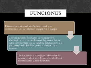 FUNCIONES
Proteína: Incrementa el metabolismo basal, y así
incrementa el uso de oxígeno y energía por el cuerpo.
Glucosa: Potencia los efectos de los receptores
adrenérgicos en el metabolismo de la glucosa. Por lo
tanto, incrementa la tasa de desglose del glucógeno y la
gluconeogénesis. También potencia el efecto de la
insulina.
Lípidos: estimula el desglose del colesterol e
incrementa el número de receptores LDL, así
incrementando la tasa de lipolisis.
 