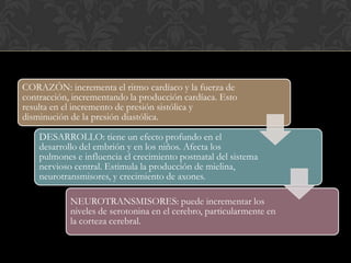 CORAZÓN: incrementa el ritmo cardíaco y la fuerza de
contracción, incrementando la producción cardíaca. Esto
resulta en el incremento de presión sistólica y
disminución de la presión diastólica.
DESARROLLO: tiene un efecto profundo en el
desarrollo del embrión y en los niños. Afecta los
pulmones e influencia el crecimiento postnatal del sistema
nervioso central. Estimula la producción de mielina,
neurotransmisores, y crecimiento de axones.
NEUROTRANSMISORES: puede incrementar los
niveles de serotonina en el cerebro, particularmente en
la corteza cerebral.
 