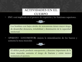 • SNC: está implicada en el proceso de cognición y las funciones superiores.
• APARATO LOCOMOTOR: mejora la mineralización de los huesos y
aumenta la masa muscular.
ACTIVIDADES EN EL
CUERPO
Los hombres con bajos niveles de testosterona tienen mayor riesgo
de desarrollar demencia, irritabilidad y disminución de la capacidad
intelectual.
El déficit puede producir osteoporosis y descenso importante de la
masa muscular, aumenta el riesgo de fractura y existe menor
resistencia al ejercicio.
 