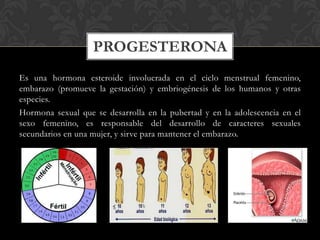 Es una hormona esteroide involucrada en el ciclo menstrual femenino,
embarazo (promueve la gestación) y embriogénesis de los humanos y otras
especies.
Hormona sexual que se desarrolla en la pubertad y en la adolescencia en el
sexo femenino, es responsable del desarrollo de caracteres sexuales
secundarios en una mujer, y sirve para mantener el embarazo.
PROGESTERONA
 