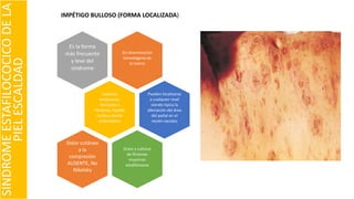 IMPÉTIGO BULLOSO (FORMA LOCALIZADA)
SINDROMEESTAFILOCOCICODELA
PIELESCALDAD
Sin diseminación
hematógena de
la toxina
Es la forma
más frecuente
y leve del
síndrome
Lesiones
tempranas:
Vesículas o
flictenas, líquido
turbio y borde
eritematoso
Pueden localizarse
a cualquier nivel
siendo típica la
afectación del área
del pañal en el
recién nacidos
Gram y cultivos
de flictenas
muestran
estafilococos
Dolor cutáneo
a la
compresión
AUSENTE, No
Nikolsky
 
