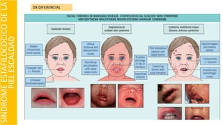 SINDROMEESTAFILOCOCICODELA
PIELESCALDAD
DX DIFERENCIAL
 
