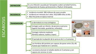 ESCABIOSIS DEFINICION Es una infección causada por Sarcopetes scabiei variedad hominis,
ectoparásito de 8 patas perteneciente a Pbyllum Artbropoda.
INCIDENCIA
TRANSMISION
 Incidencia mundial :300 millones de casos anuales
 Incidencia en menores de 5 años: 952/1000 niños al año.
 Mas frecuente en época invernal
La dermatosis es muy contagiosa
Contagio suele ser directo: de persona a persona.
(lugares hacinados, guarderías, orfanatos)
Contagio indirecto mediante
fómites( sabanas, toallas y ropas)
Los ácaros alcanzan el estadio adulto en 3 semanas y son
capaces de reiniciar el ciclo.
El periodo de incubación de la sarna es de 1 a 3 semanas.
Las hembras del parásito son capaces de poner entre 10 y 40
huevos que maduran en 1 semana.
 