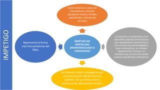 IMPETIGO
IMPÉTIGO NO
AMPOLLOSO
(MICROVESICULOSO O
CONTAGIOSO)
Suele iniciarse en zonas de
traumatismos mínimos
(picaduras insecto, heridas
superficiales, lesiones de
varicela).
Las lesiones características son
pequeñas pápulas eritematosas
que rápidamente evolucionan a
una vesícula de pared delgada y
base eritematosa, se rompen
rápidamente y forman un
exudado que se seca formando
costras amarillentas melicéricas.
Las lesiones suelen propagarse por
autoinoculación dando lesiones
satélites. No es infrecuente la
presencia de adenopatías locales.
Representa la forma
más frecuente(más del
70%).
 