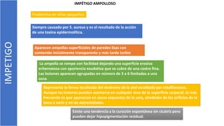 IMPETIGO
IMPÉTIGO AMPOLLOSO
Predomina en niños pequeños
Siempre causado por S. aureus y es el resultado de la acción
de una toxina epidermolítica.
Aparecen ampollas superficiales de paredes lisas con
contenido inicialmente transparente y más tarde turbio
La ampolla se rompe con facilidad dejando una superficie erosiva
eritematosa con apariencia exudativa que se cubre de una costra fina.
Las lesiones aparecen agrupadas en número de 3 a 6 limitadas a una
zona.
Representa la forma localizada del síndrome de la piel escaldada por estafilococos.
Aunque las lesiones pueden asentarse en cualquier área de la superficie corporal, lo más
frecuente es que aparezcan en zonas expuestas de la cara, alrededor de los orificios de la
boca o nariz y en las extremidades.
Existe una tendencia a la curación espontánea sin cicatriz pero
pueden dejar hipopigmentación residual.
 