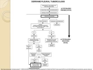 http://www.cenave.gob.mx/tuberculosis/5.1.1/MODCAPA/M%C3%B3dulos%20de%20Capacitaci%C3%B3n%20TAES/Tuberculosis%20Pulmonar%20y%20Extrapulmonar/derrame_pleural_tuberculo
 