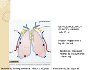 ESPACIO PLEURAL =
                                                       ESPACIO VIRTUAL
                                                       < de 15 ml


                                                       Presion negativa en el
                                                       liquido pleural


                                                         Tendencia al colapso
                                                         normal de los pulmones
                                                         : -4mm Hg




Tratado de fisiologia medica . Arthur c. Guyton 11° ediccion cap.38. pag 483
 