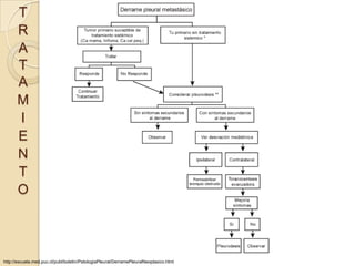 T
      R
      A
      T
      A
      M
      I
      E
      N
      T
      O




http://escuela.med.puc.cl/publ/boletin/PatologiaPleural/DerramePleuralNeoplasico.html
 
