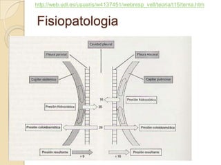http://web.udl.es/usuaris/w4137451/webresp_vell/teoria/t15/tema.htm


Fisiopatologia
 