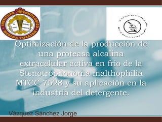 Optimización de la producción de
una proteasa alcalina
extracelular activa en frio de la
Stenotrophonoma malthophilia
MTCC 7528 y su aplicación en la
industria del detergente.
Vázquez Sánchez Jorge
 