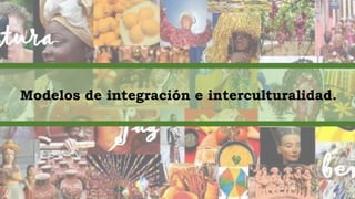 Modelos de integración e interculturalidad.
 