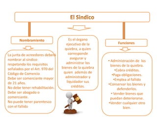 Funciones
Nombramiento Es el órgano
ejecutivo de la
quiebra, a quien
corresponde
asegurar y
administrar los
bienes de la quiebra
quien además de
administrador y
liquidador sus
créditos.
• Administración de los
bienes de la quiebra.
•Cobra créditos.
•Paga obligaciones.
•Emplea al fallido
•Conservar los bienes y
defenderlos.
• Vender bienes que
puedan deteriorarse.
•Vender cualquier otro
bien.
La junta de acreedores deberá
nombrar al sindico
respetando los requisitos
señalados por el Art. 970 del
Código de Comercio
Debe ser comerciante mayor
de 21 años.
No debe tener rehabilitación.
Debe ser abogado o
comerciante.
No puede tener parentesco
con el fallido
 