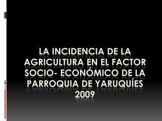 La incidencia de la agricultura en el factor socio- económico de la parroquia de Yaruquíes 2009 