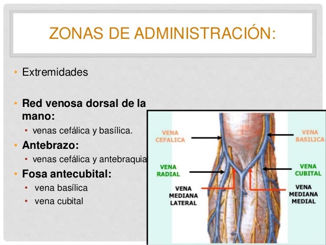 VIA DE ADMINISTRACIÓN INTRAVENOSA POR INFUSIÓN CONTÍNUA VIA DE ADMINISTRACIÓN INTRAVENOSA POR INFUSIÓN CONTÍNUA