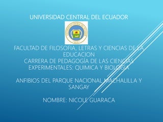 UNIVERSIDAD CENTRAL DEL ECUADOR
FACULTAD DE FILOSOFIA, LETRAS Y CIENCIAS DE LA
EDUCACION
CARRERA DE PEDAGOGÍA DE LAS CIENCIAS
EXPERIMENTALES: QUIMICA Y BIOLOGIA
ANFIBIOS DEL PARQUE NACIONAL MACHALILLA Y
SANGAY
NOMBRE: NICOLE GUARACA
 